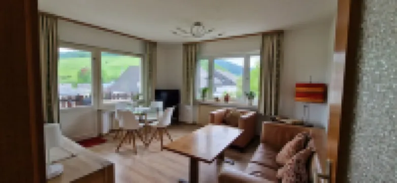 Winterberg-schmallenberg-bödefeld Wohnung mit Balkon und Toller Aussicht