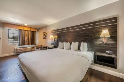 Best Western Inn of Jasper Hotels in Jasper County