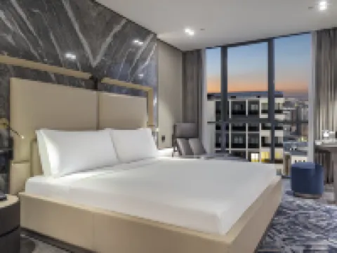 希爾頓逸林酒店（尚勒烏爾法） 尚勒烏爾法酒店