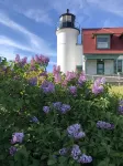 Beautiful Big Platte Lake Shared Waterfront Rental Home