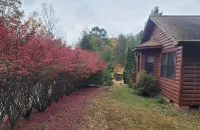 Cozy cabin in charming Columbus. Minutes from Equestrian Center, vineyards etc..