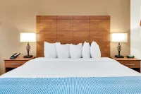 Best Western Orlando Gateway Hotel Hotels in Orlando
