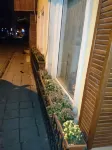 YASMİN Hotel - Wifi