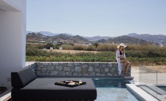Milestones Naxos
