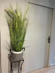 Hôtel Restaurant la Renaissance - Pet Friendly