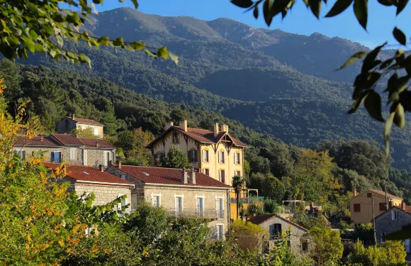傑特皮特雷木屋酒店