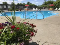 Motel Adam Hotels in Gatineau