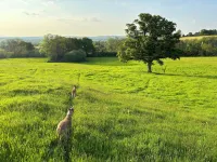 Ellesmere House Hotels in Castle Cary