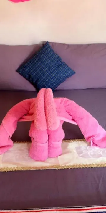 บังกะโลโมเดิร์นพร้อมพัดลม (ห้องน้ำส่วนตัว)