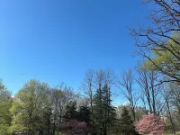 LOG  CABIN IN ZEN FOREST Hotels in Shawangunk