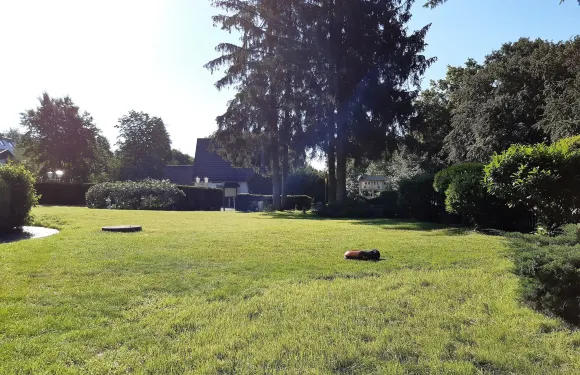 酒店餐廳Steinhägerquelle