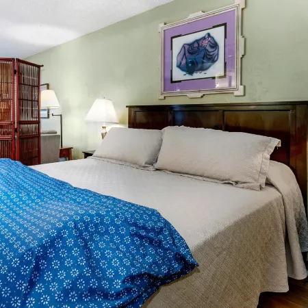 Lift House 306, Studio Condo in Lionshead Village