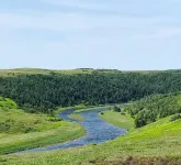 The Keeper's Kitchen B&B Hotels in Trepassey