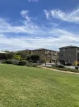 Olive Glen