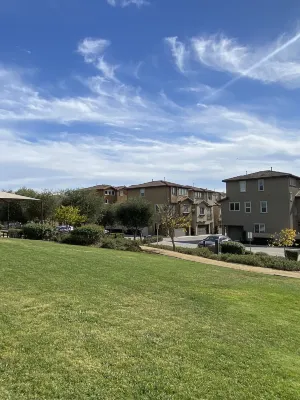 Olive Glen - guesthouses