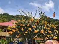 Central Hills Cat Ba Hotels in Cat Hai