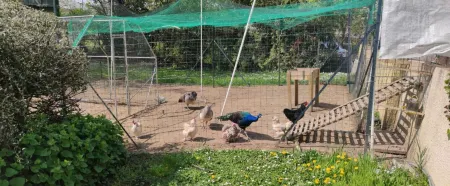 Kyriad Mulhouse Est - Lutterbach Отели в г. Люттербах