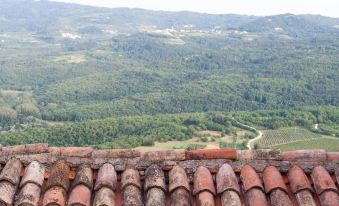 Houses of Motovun