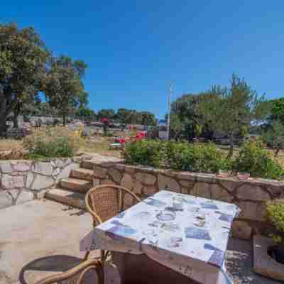 Veli Lošinj Hilltop Oasis Others