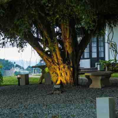 Castle Hill Bungalow by Seven Angels Hotel Exterior