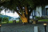 Castle Hill Bungalow by Seven Angels