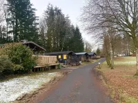 Stunning 4-Bedroom Cabin with Hot Tub in Beattock!