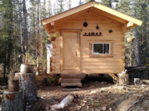 Blackburn Cabins - McCarthy, Alaska Hotels in McCarthy