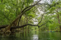 Suwannee River Hideaway Hotel di Lafayette County