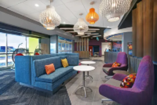 トゥルー バイ ヒルトン ストートン