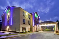 Holiday Inn Express & Suites Buford NE - Lake Lanier Hotel di Buford