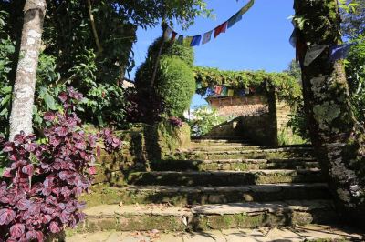 庭 アナプナ エコ ビレッジの写真