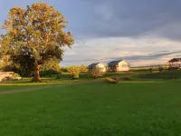Koffiemama Tree B&B Hotels in Meerzorg