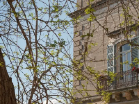 Donna Elisabetta女士宮-招待所 曼杜里亞酒店