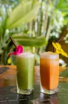 Khao Sok River Home Resort - bar