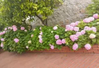 Villa Katarina - واي فاي