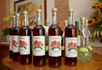 Agriturismo il Cascinale - bar