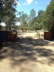 Marbles on Lovedale