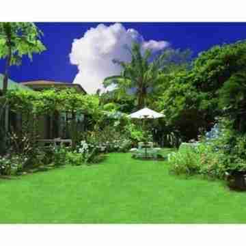 Pension Iriomote Hotel Exterior