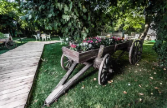 마이 그린 오텔  호텔