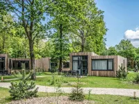 Villa in Schaijk Near Forest & Water - Villas