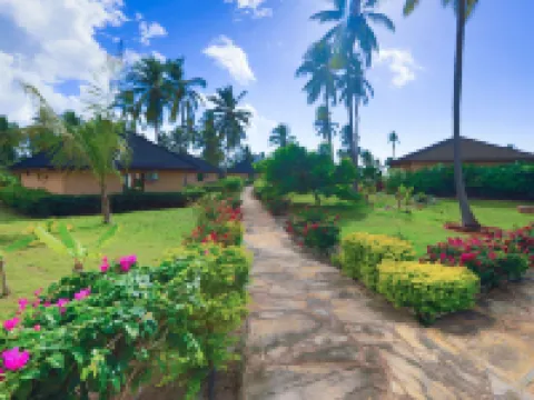The Sands Beach Resort Hotels in Dongwe