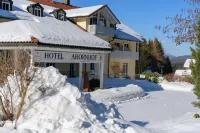 Hotel Ahornhof Hotels in Lindberg