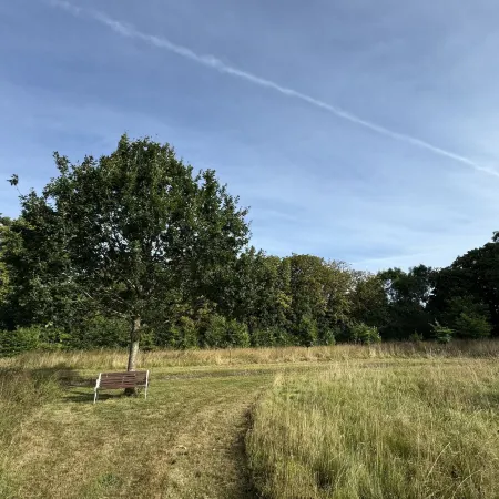 Hookwood Lodge