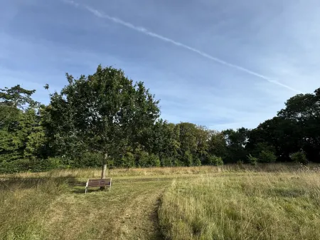 Hookwood Lodge Отели в г. Рейгейт