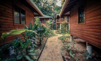 Palmar Beach Lodge