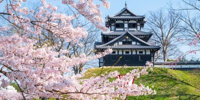 ホテル周辺 旅館 おかやまの写真