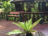 Fern Paradise Hotels in Amphoe San Sai