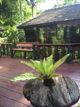 Fern Paradise Отели рядом с достопримечательностью «Zen Paradise Chiang Mai Villa»