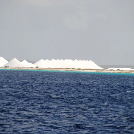 The Lodge Bonaire