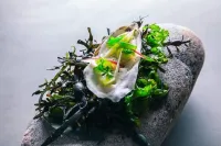 Rosfjord Strandhotell - servizio colazione